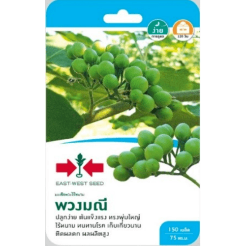 ศรแดง เมล็ดพันธุ์-มะเขือพวงไร้หนาม พวงมณี