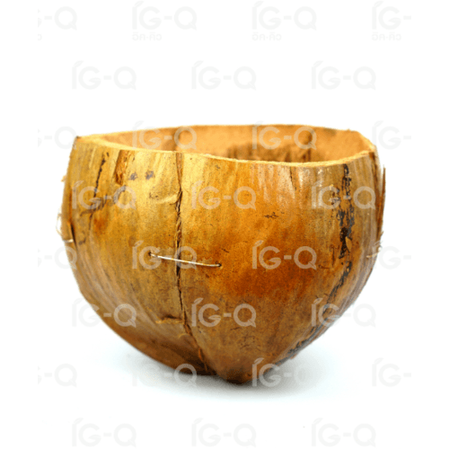 Gallery item 3