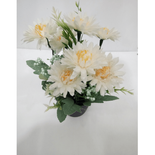Gallery item 7
