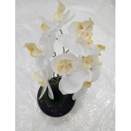 Gallery item 9