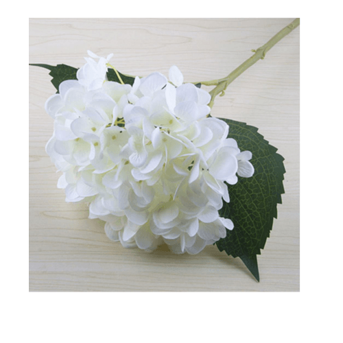 Gallery item 6