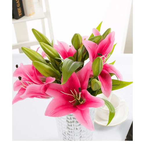 Gallery item 10