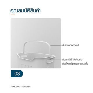 Gallery item 6