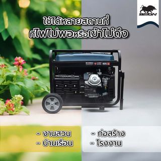 Gallery item 5