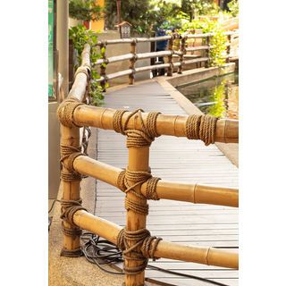 Gallery item 8