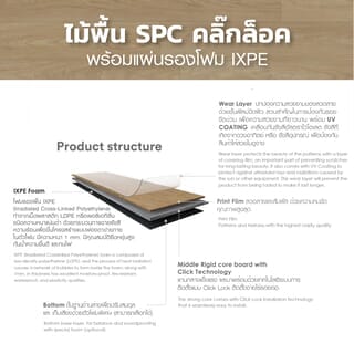Gallery item 2
