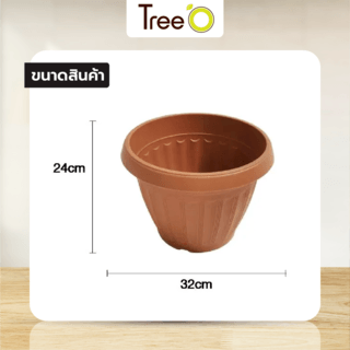 Gallery item 10