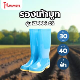 Gallery item 2