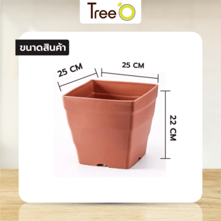 Gallery item 5