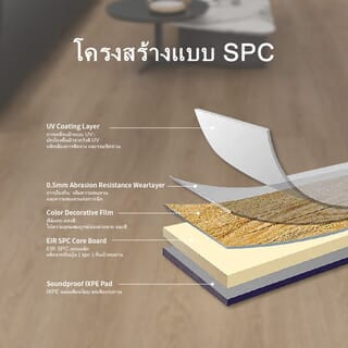 Gallery item 6