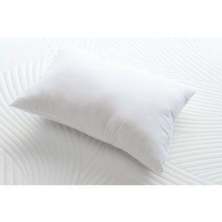Gallery item 2