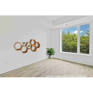 Gallery item 9