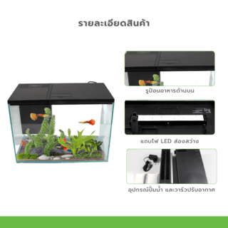 Gallery item 2