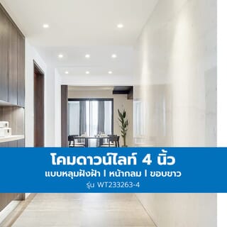 Gallery item 6