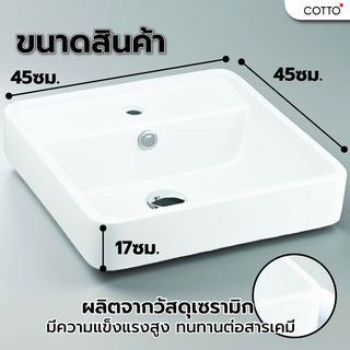 Gallery item 5