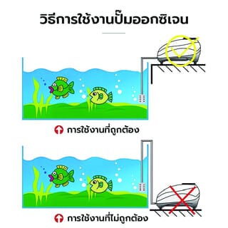 Gallery item 2