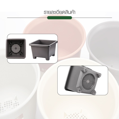 Gallery item 8