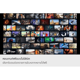 Gallery item 9
