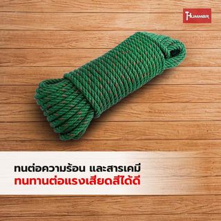 Gallery item 4
