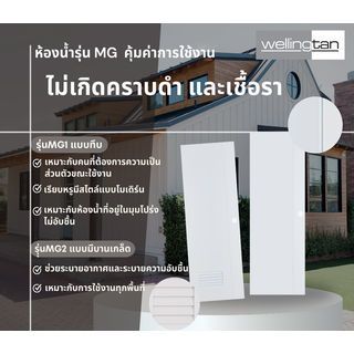 Gallery item 7