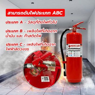 Gallery item 5