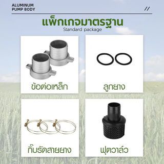 Gallery item 3