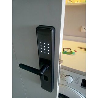 Gallery item 8