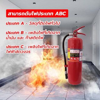 Gallery item 3