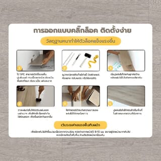 Gallery item 10