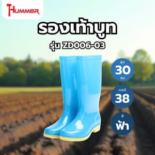 Gallery item 2