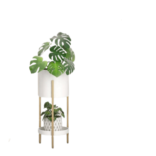 Gallery item 1