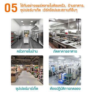 Gallery item 6