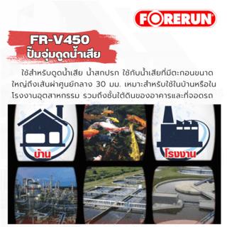 Gallery item 2