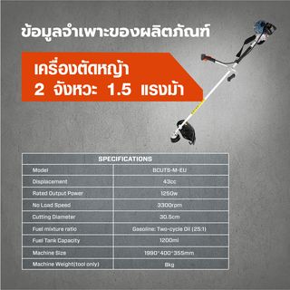 Gallery item 9