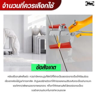 Gallery item 7