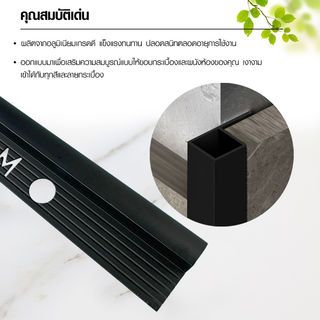 Gallery item 7