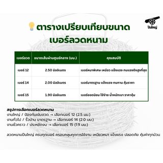 Gallery item 2