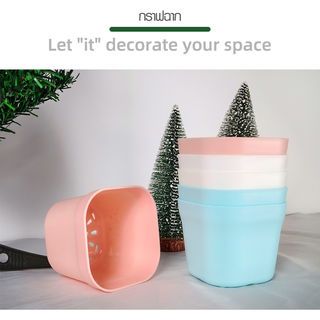 Gallery item 6