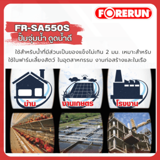 Gallery item 3