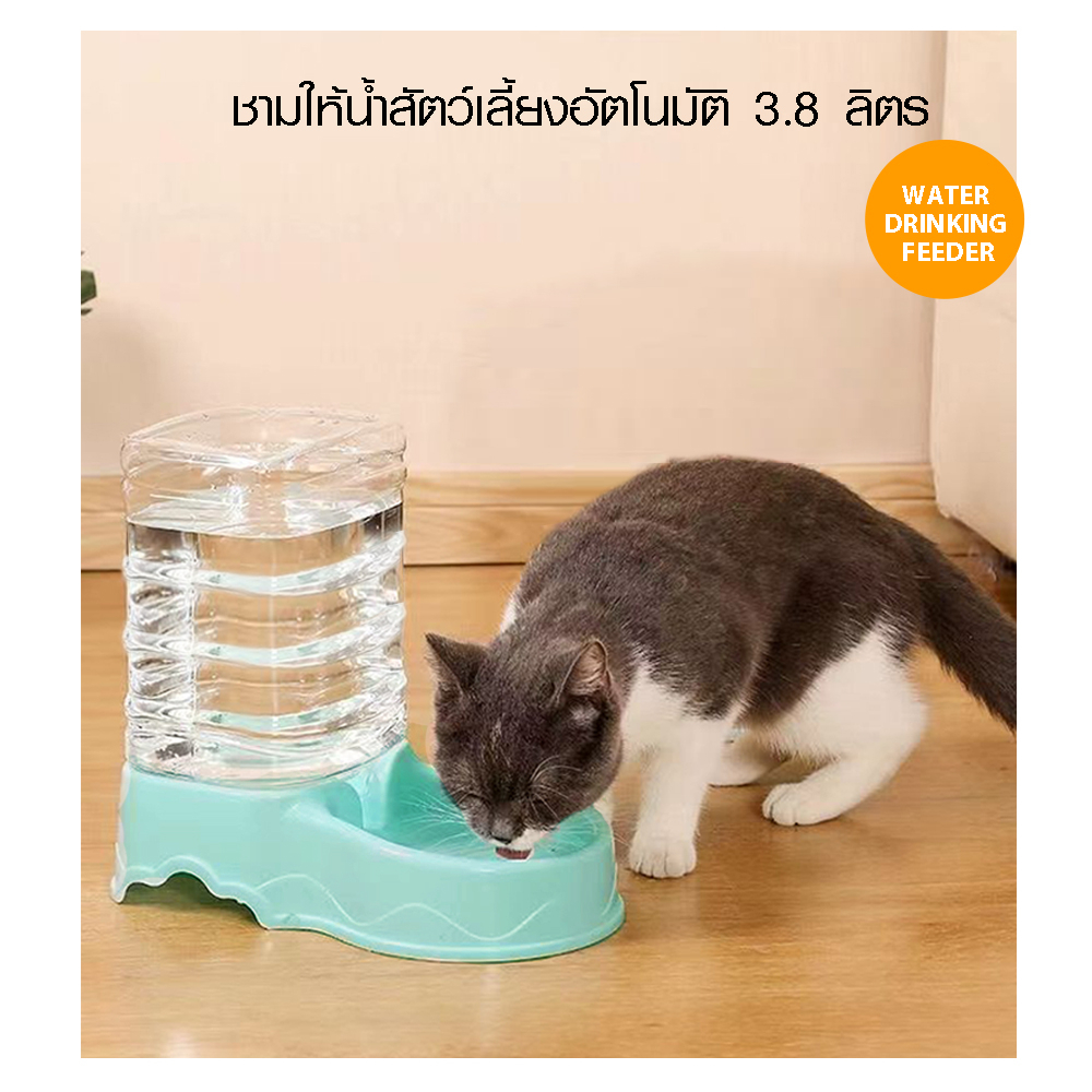 DUDUPETS ชามให้น้ำสัตว์เลี้ยงอัตโนมัติ 3.8 ลิตร รุ่น NILA 18x27x27ซม. สีเขียวอ่อน