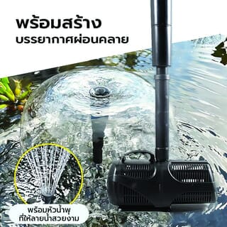 Gallery item 5