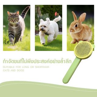 Gallery item 3
