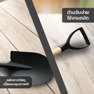 Gallery item 3