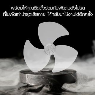 Gallery item 6