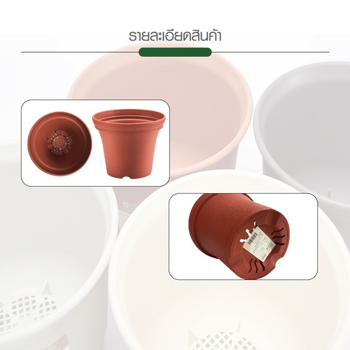 Gallery item 8