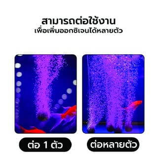 Gallery item 7