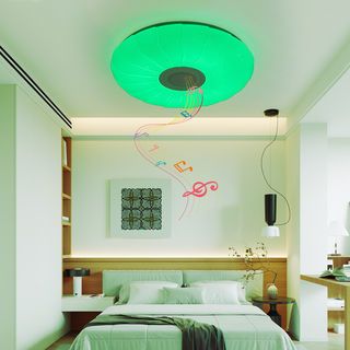 Gallery item 5