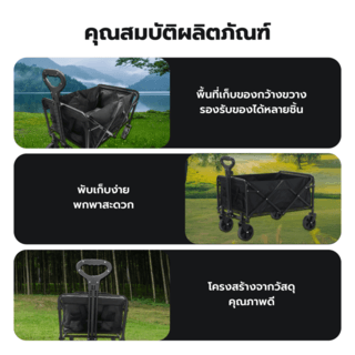 Gallery item 5