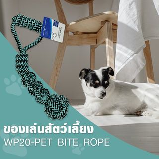 Gallery item 1