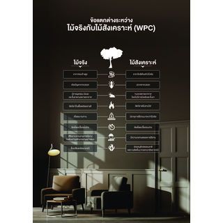 Gallery item 3